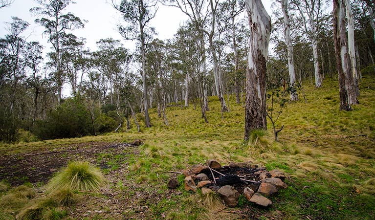Tomalla NSW Goulburn Accommodation