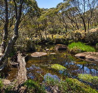 Junction Pools campground - Goulburn Accommodation