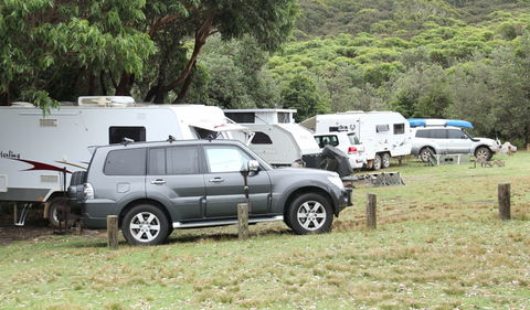 Pretty Beach Campground - Murramarang National Park - Goulburn Accommodation 1