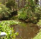 Tallowood Ridge B and B - Goulburn Accommodation