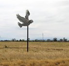 Gulargambone Hotel - Gulargambone - Goulburn Accommodation