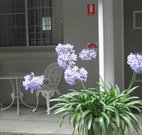 Pine Lodge Motel - Woolgoolga - Goulburn Accommodation