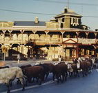 The Commercial Hotel Coonamble - Coonamble - Goulburn Accommodation