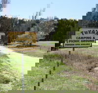 Tuena Camping and Picnic Ground - Goulburn Accommodation