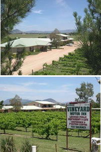 Mudgee Vineyard Motor Inn - Goulburn Accommodation 0