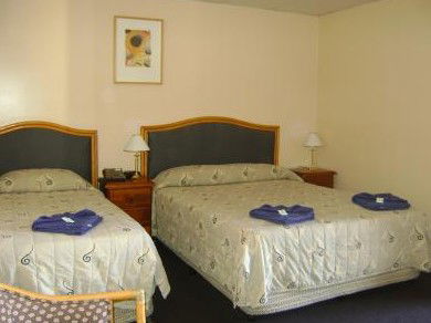 Mudgee Motor Inn - Goulburn Accommodation 0