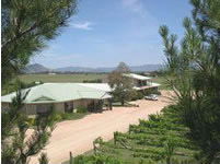 Mudgee Vineyard Motor Inn - Goulburn Accommodation 1