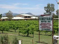 Mudgee Vineyard Motor Inn - Goulburn Accommodation 2
