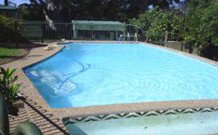 Tree Motel - Narooma - Goulburn Accommodation 0
