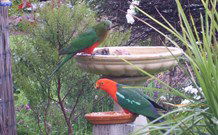 Valley View Motel Murrurundi - Murrurundi - Goulburn Accommodation 4