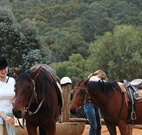 Clark Bay Cottages - Goulburn Accommodation