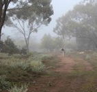 Heritage Park Bathurst - Goulburn Accommodation