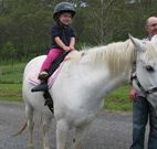 Mansfield Cottage Barrington Tops Accommodation - Goulburn Accommodation
