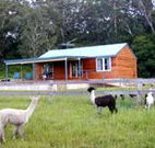 Moorallie Cottage Farm Stay - Goulburn Accommodation