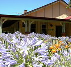 Red Hill Organics Farmstay - Goulburn Accommodation