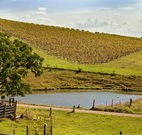 Sanctuary Hill Retreat - Goulburn Accommodation
