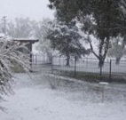 Tirrintippin - Goulburn Accommodation