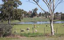 Yamba Farmstay - Goulburn Accommodation 5