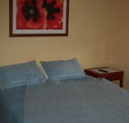 Busy Buzz - Goulburn Accommodation