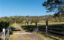 Cruickshanks Armidale Bed And Breakfast - Goulburn Accommodation 1