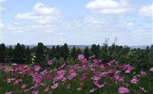 Cruickshanks Armidale Bed And Breakfast - Goulburn Accommodation 4