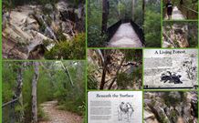 Finchley Bed And Breakfast - Goulburn Accommodation 7