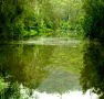 Mangrove Yoga Ashram - - Goulburn Accommodation