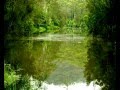 Mangrove Yoga Ashram - - Goulburn Accommodation 0
