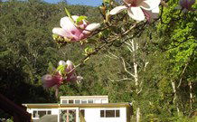 Mangrove Yoga Ashram - - Goulburn Accommodation 2