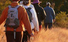 Mangrove Yoga Ashram - - Goulburn Accommodation 3