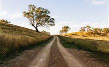 Rosby Guesthouse & Studio - Goulburn Accommodation 4