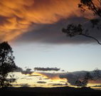 Silkwood B and B - Goulburn Accommodation
