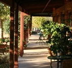 The Vineyard Motel - Goulburn Accommodation