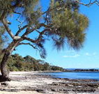 David Jones Cottage - Goulburn Accommodation