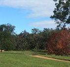 Mulberry Cottage - Goulburn Accommodation