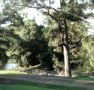 Rustic Caravan Park - Goulburn Accommodation