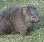 Seakissed Beachhouse - Goulburn Accommodation