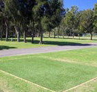Spotted Gums on Hermitage - Goulburn Accommodation