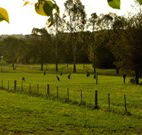 Stone Cottage Mittagong - Goulburn Accommodation