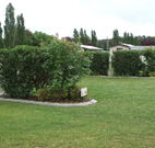 Wheatfield Cottage - Goulburn Accommodation