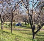 Worrowing Boat Shed - Goulburn Accommodation