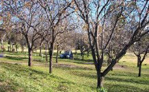 Worrowing Boat Shed - Goulburn Accommodation 0