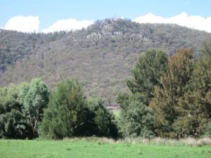 Jessica's Guest House And Vineyard - Goulburn Accommodation 3