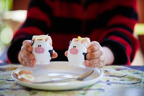 Cosy Cow Farmstay Bed And Breakfast - Goulburn Accommodation 0