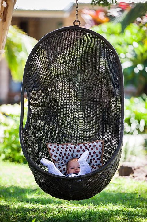 Cosy Cow Farmstay Bed And Breakfast - Goulburn Accommodation 5