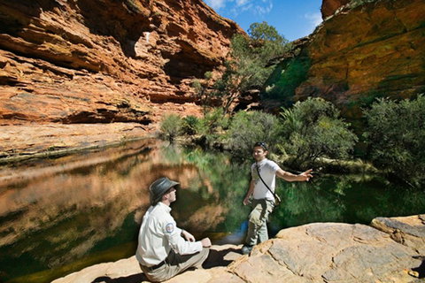 Kings Canyon Holiday Park - Goulburn Accommodation 8