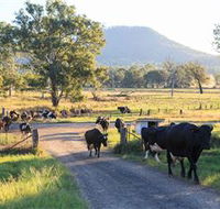 Tommerups Dairy Farmstay - Goulburn Accommodation