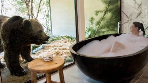 Jamala Wildlife Lodge - Goulburn Accommodation 0