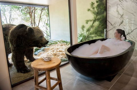 Jamala Wildlife Lodge - Goulburn Accommodation 1
