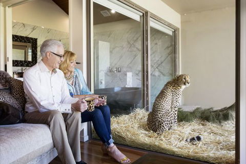 Jamala Wildlife Lodge - Goulburn Accommodation 3